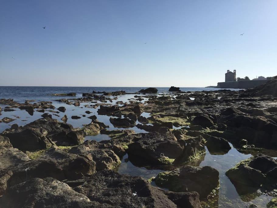 Carpediem Apart Alicante 1Ero B Екстериор снимка